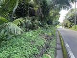 4550 Hana Hwy - Photo 11