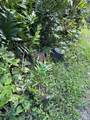 4550 Hana Hwy - Photo 12