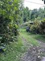 4550 Hana Hwy - Photo 6