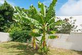 190 Aliiolani St - Photo 48