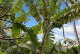 4440 Lower Honoapiilani Rd - Photo 36