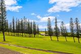 500 Kapalua Dr - Photo 3