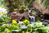 2191 Kihei Rd - Photo 19