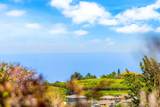 71 Makawao Ave - Photo 15