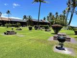 1000 Kamehameha V Hwy - Photo 17