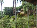 100 Lio Pl - Photo 13