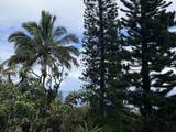 105 Acres Hana Hwy - Photo 1