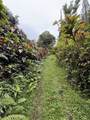 105 Acres Hana Hwy - Photo 10