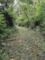 105 Acres Hana Hwy - Photo 11
