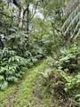105 Acres Hana Hwy - Photo 12