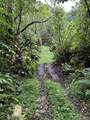 105 Acres Hana Hwy - Photo 15