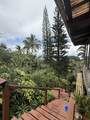 105 Acres Hana Hwy - Photo 16