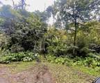 105 Acres Hana Hwy - Photo 2