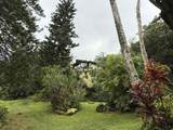 105 Acres Hana Hwy - Photo 4