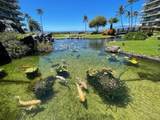 2481 Kaanapali Pkwy - Photo 23