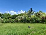 241 Ulaino Rd - Photo 22