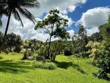 241 Ulaino Rd - Photo 24