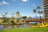 2481 Kaanapali Pkwy - Photo 34