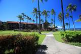 3543 Lower Honoapiilani Rd - Photo 42