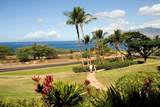 2777 Kihei Rd - Photo 7