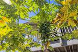 715 Kihei Rd - Photo 23