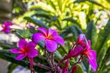 715 Kihei Rd - Photo 24