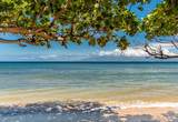 3445 Lower Honoapiilani Rd - Photo 40