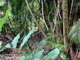 772 Nahiku Rd - Photo 21
