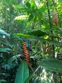 772 Nahiku Rd - Photo 23