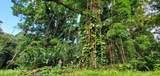 772 Nahiku Rd - Photo 4