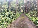 772 Nahiku Rd - Photo 5