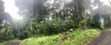 772 Nahiku Rd - Photo 7