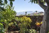 495 Kaiwahine St - Photo 28