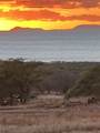403 Pa Loa Loop - Photo 3