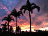 22 Hale Lio Pl - Photo 42