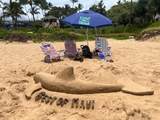 2575 Kihei Rd - Photo 25