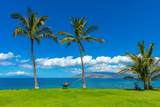 2936 Kihei Rd - Photo 41