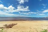 145 Kihei Rd - Photo 6