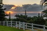 21 Hulumanu Pl - Photo 30