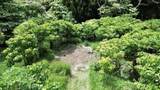 000 Kamehameha V Hwy - Photo 1