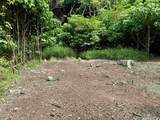 000 Kamehameha V Hwy - Photo 10