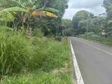 000 Kamehameha V Hwy - Photo 7