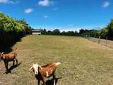 57 Awalau Rd - Photo 2