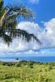 1130 Hana Hwy - Photo 39