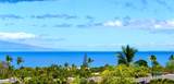 161 Wailea Ike Pl - Photo 4