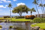 2481 Kaanapali Pkwy - Photo 25
