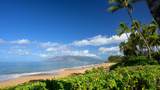 3254 Kihei Rd - Photo 22