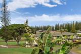 500 Kapalua Dr - Photo 45