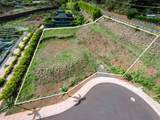 165 Laikeha Pl - Photo 1