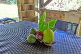 4685 Uakea Rd - Photo 39